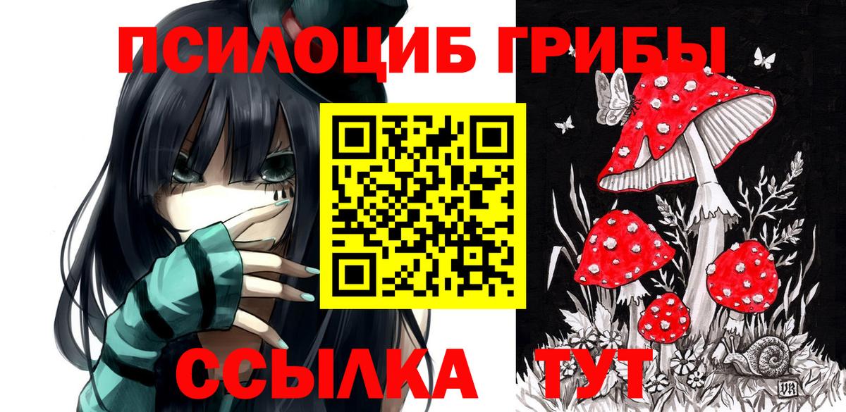 Петропавловск-Камчатский  Галлюциногенные грибы мицелий  Вход с VPN 